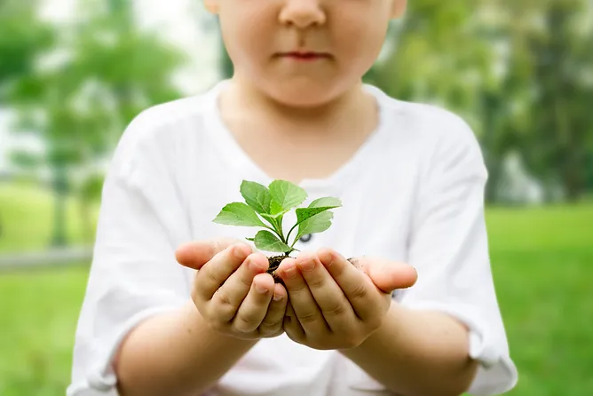 little-boy-holding-soil-and-plant-in-the-park-we-are-proud-to-s